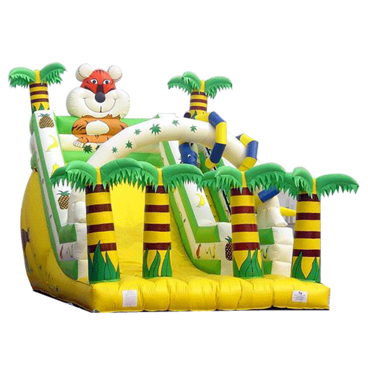 Inflatable Slides FLSL-A20060